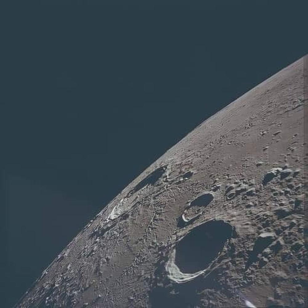 Meet your Posher, Ari